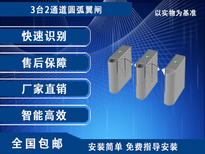 通道翼閘IV