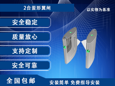 通道翼閘VII