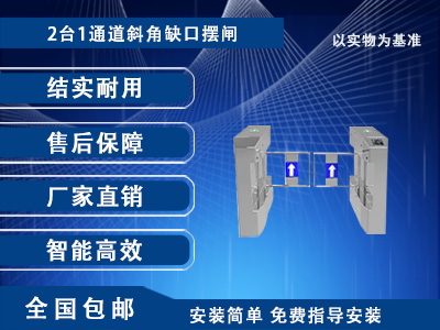 擺閘IV